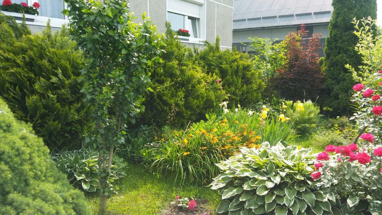 Apartament Jutrzenka Spytkowice  Exterior foto